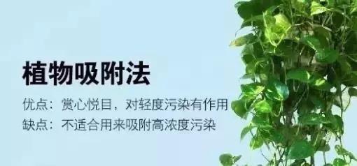 新买精装房放了2年甲醛竟还超标3倍!全家咳嗽不止…买房要注意!