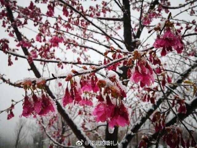 福建下雪啦：你可欣赏过白雪皑皑银装素裹的家乡？