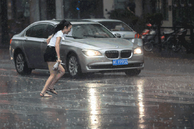 冷空气马上杀到柳州,还有大雨大风!赏紫荆花的请抓紧时间!