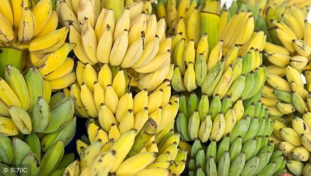 柑橘香蕉,占广西水果60%,遭遇年初价格跳水后