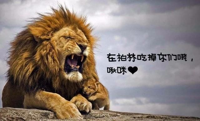 青蛙求生pcpi赛上五大狙神:第三亚洲杀人王,第五说也_旅行朋友带回绝地三个图片
