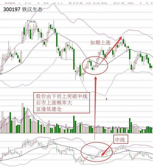 一位私募交易怪才的告白：散户找不到主力？那是你不会用RSI指标