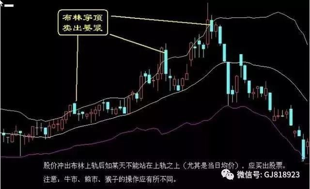 炒股高手纵横股市的选股五大原则，值得两亿股民拜读！