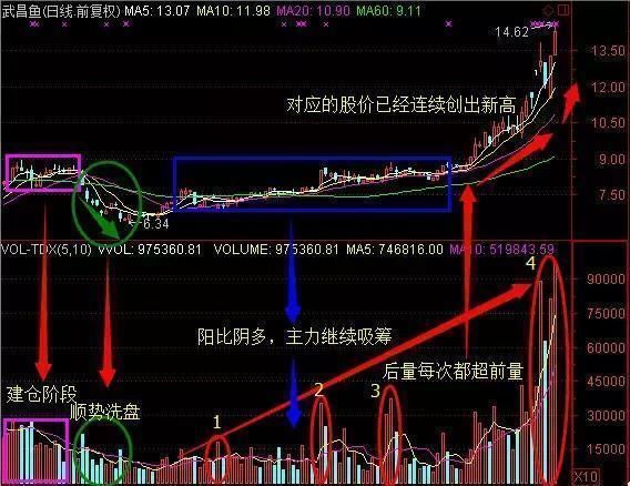 一位顶级游资大佬的赠言：庄家建仓固定铁律，悟透后走上人生巅峰