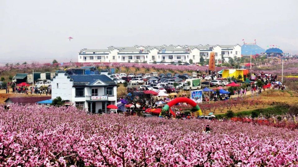 快收下这份湖北“醉美”赏花攻略，让花海承包你的整个春天