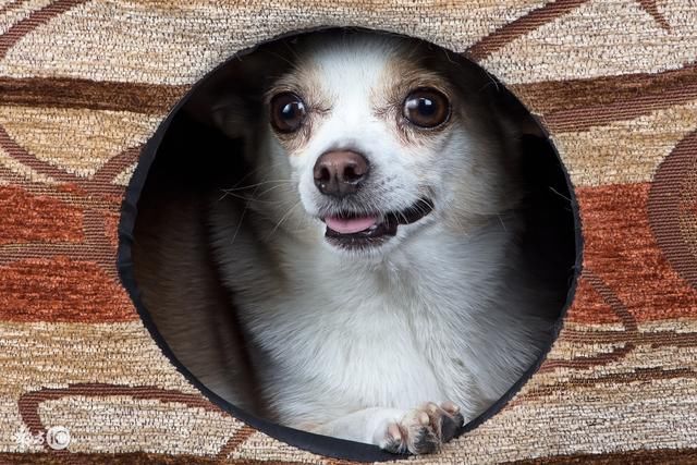 福彩3D第334期推荐:专杀直选号码第18期 已对