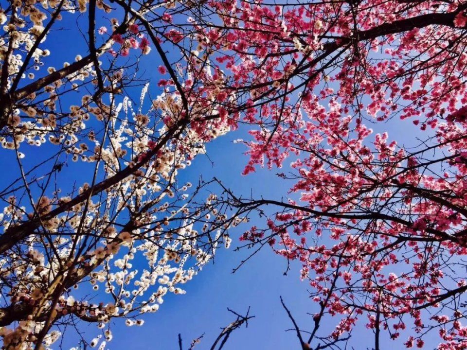 小长假别再出国了!浪了青海，就等于浪了全世界，不信你看!