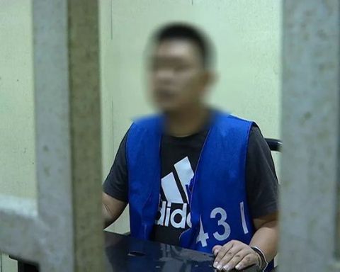 外地车牌违章怎么处理