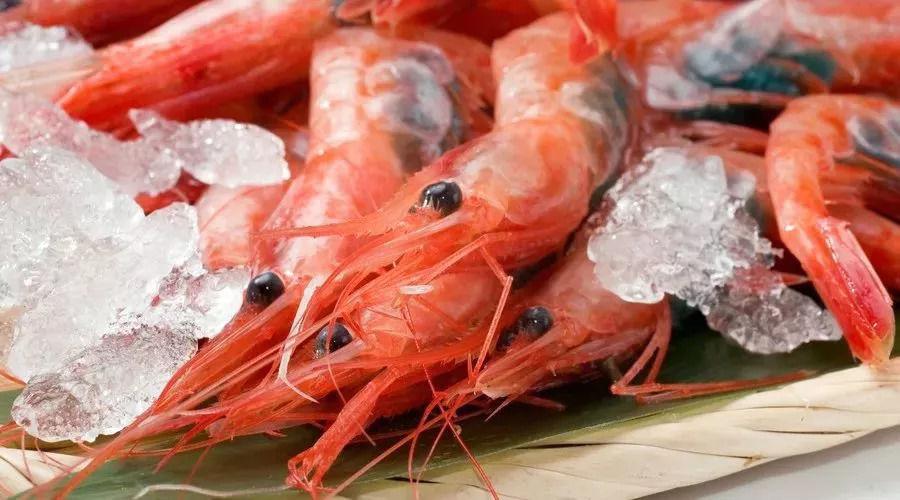 死亡24人江苏发布最新传染病疫情 溧阳人9月要