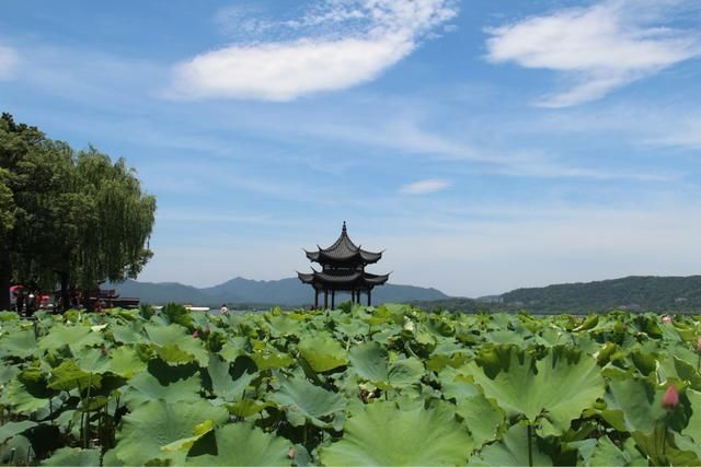 杭州的富人区在哪里，穷人区在哪里?最富的区却是从绍兴挖过来的