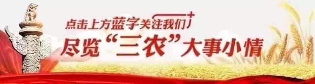 农业部明确了今年要干的26件事，干农业的都该认真看看！