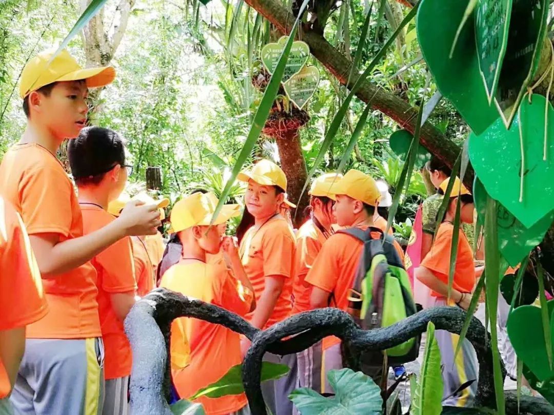 海南省农垦直属第一小学 | 构筑学校生命共同体