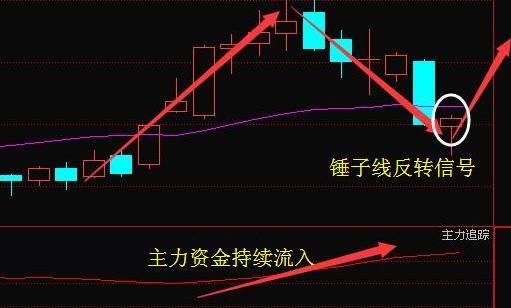 错过了紫光国芯,又一国产芯片妖股火力全开,有