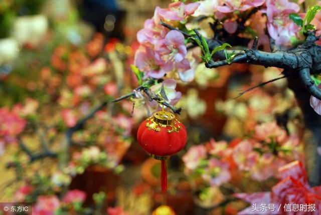 广东那么多桃花节,踏春寻花正当时,你怎么还不去看看?