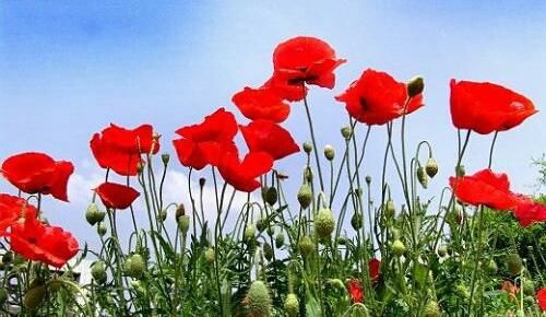 做个不好惹的人,活出自己的态度