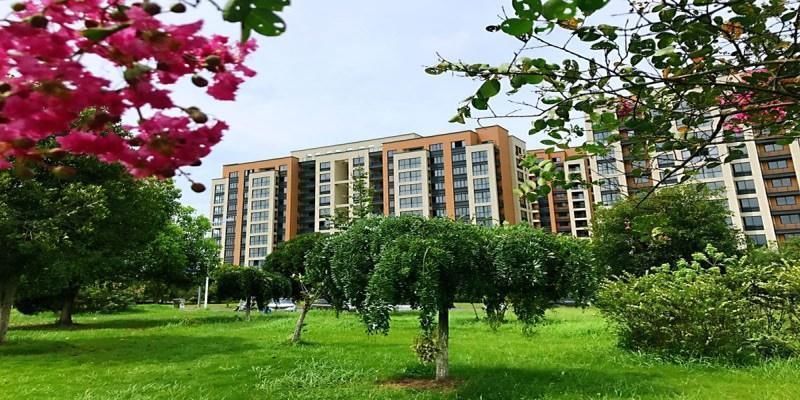 夏天夏天悄悄过去,留下湖州安吉龙山公馆第三