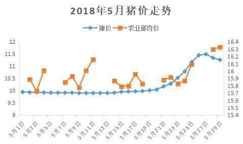 猪价行情再度趋稳 未来或将两极分化!养猪户应理智出栏