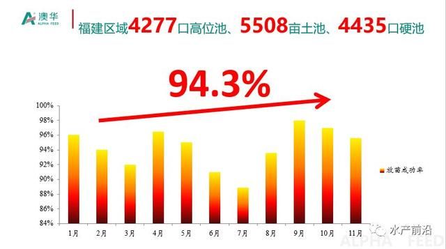 养虾产量18万吨暴跌至10万吨，P20模式雷霆救市助力虾农破困局