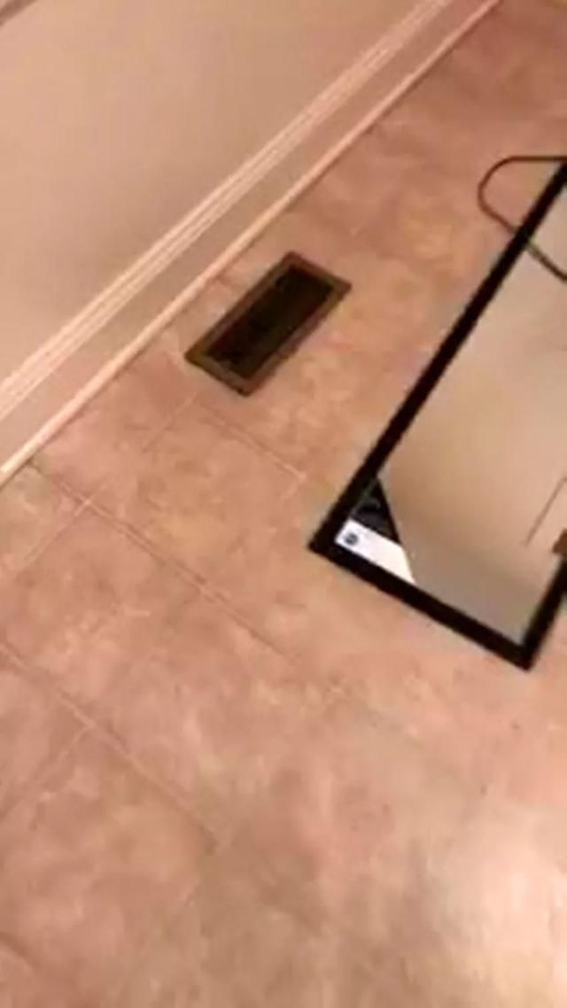 猫咪听说这家没养宠,主动钻下水道送猫上门
