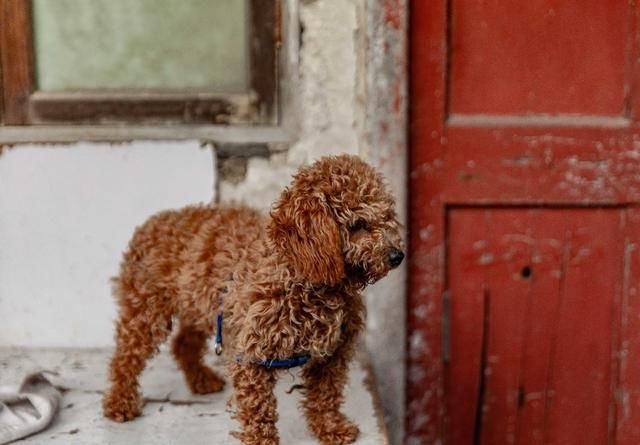 南通这个古老的巷子 一种美食每天排长队