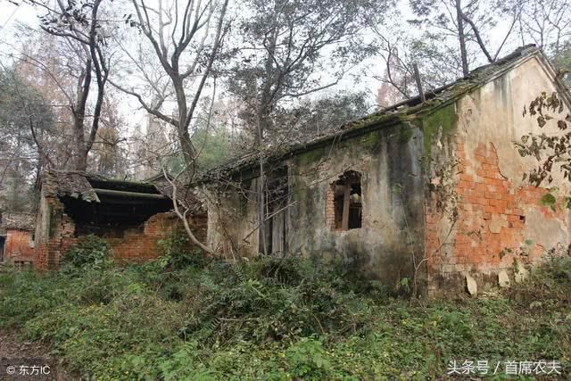 今年是宅基地确权的最后一年，面临收回还有这几种情况可以弥补