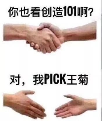 菊势不妙！你到底该pick谁？