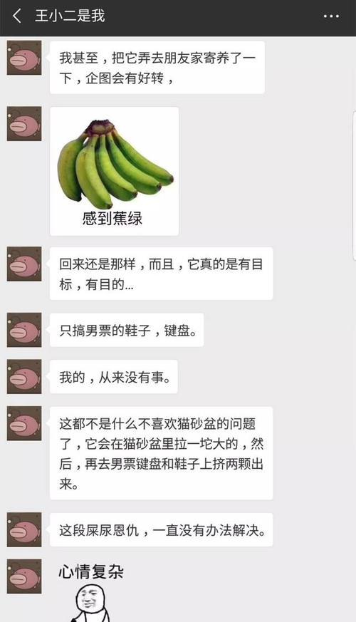 男票不小心惹到了猫,被猫拉屎报复了四天现在
