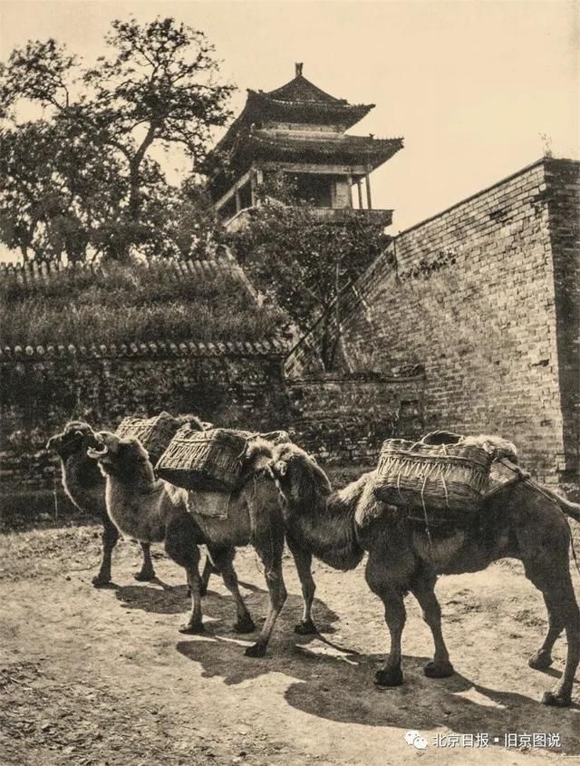 他为北京拍下66张美图，却死在日军集中营