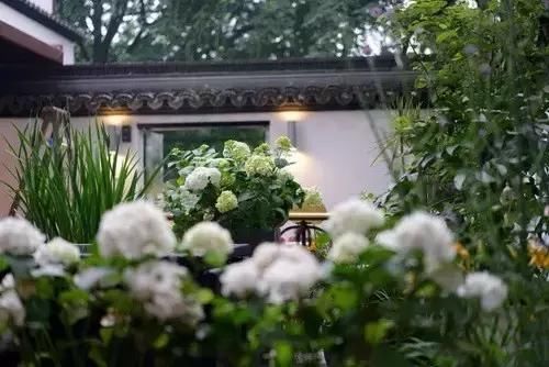 旧时禅房,如今小筑,出门十步便是西湖