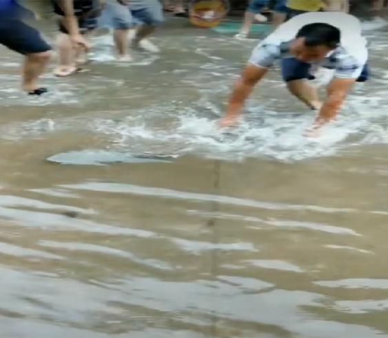 大雨刚过 市民纷纷大街上忙抓鱼