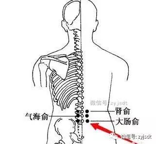 人体“去油穴”，迎来小蛮腰