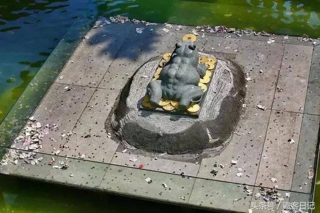 中国游客爱在这些景点撒钱，钱最后都到了他们手里……