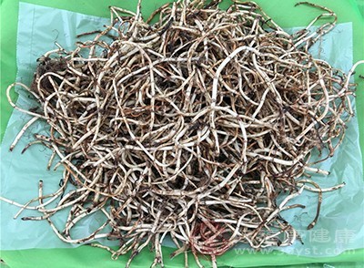 鱼腥草的作用与功效图片 t01380fc4e342449ed6.jpg