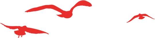 我爱我家租房中介费