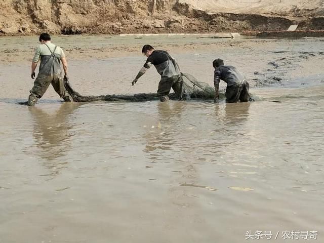 雨过天晴，农村小伙看到河里的大家伙后忍不住出手了