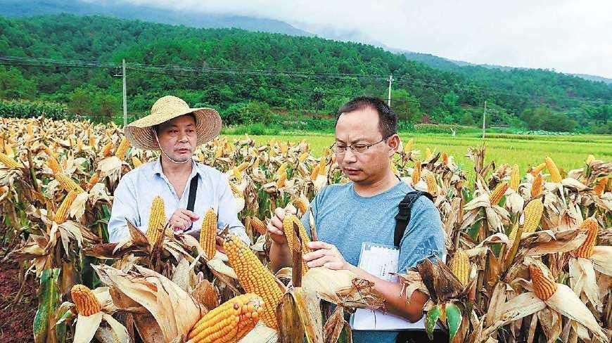 在农村，这四个小生意可别再做了，不少人已经亏钱，早了解不吃亏