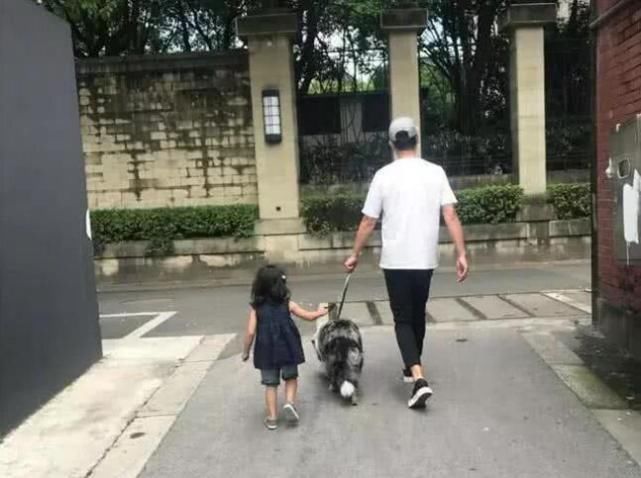 文章陪女儿参加比赛,不停帮爱马拍照为女儿加油,身旁不见马伊琍