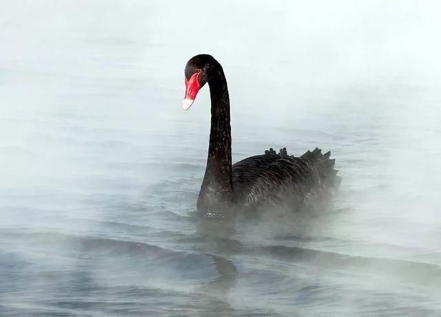 上市公司成主角，这波违约潮何时了？