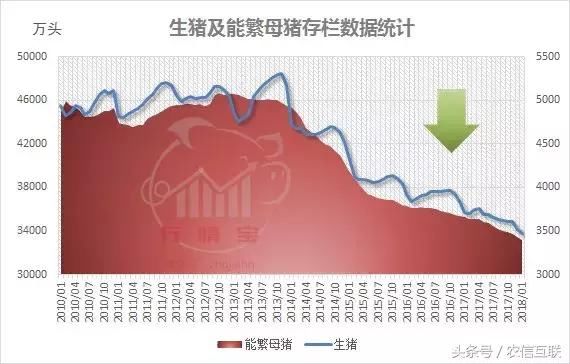 玉米涨价势如破竹！听说山东局地突破1元\/斤！未来还涨吗？