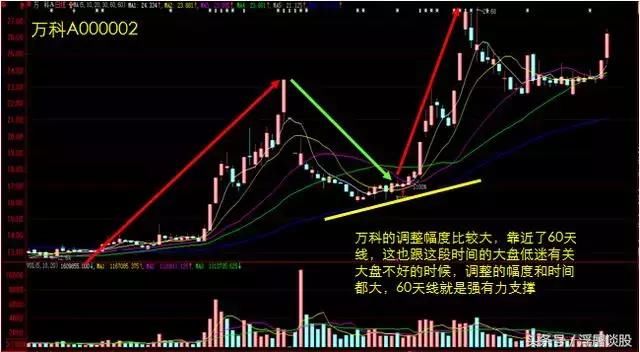 良心操盘手揭秘：高效实用的牛回头短线战法，散户股市赚钱必学！