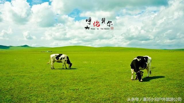 夏天去呼伦贝尔旅游,这些线路及注意事项,你要知道!