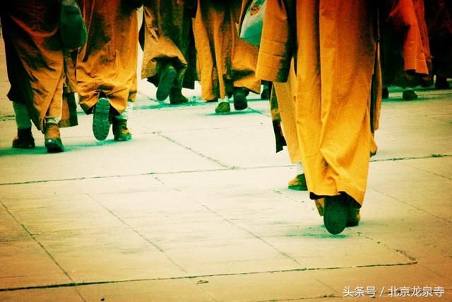 明师难遇，且行且珍惜