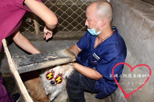 9.8疫苗日圆满成功!感谢所有义工辛苦付出!