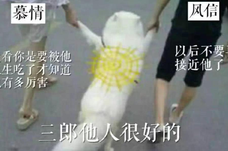 师尊家妈妈们的儿子,墨香生气了,瑶妹好可怜被扇表情表情包图片