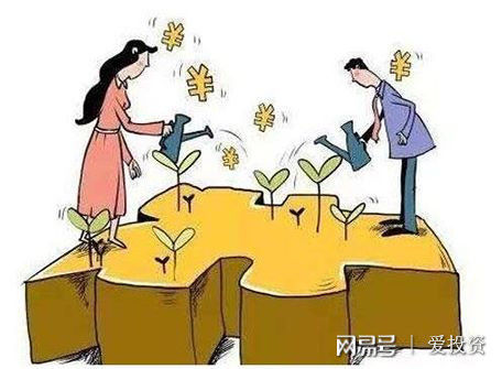 范冰冰一年收入_本人上一年工薪收入