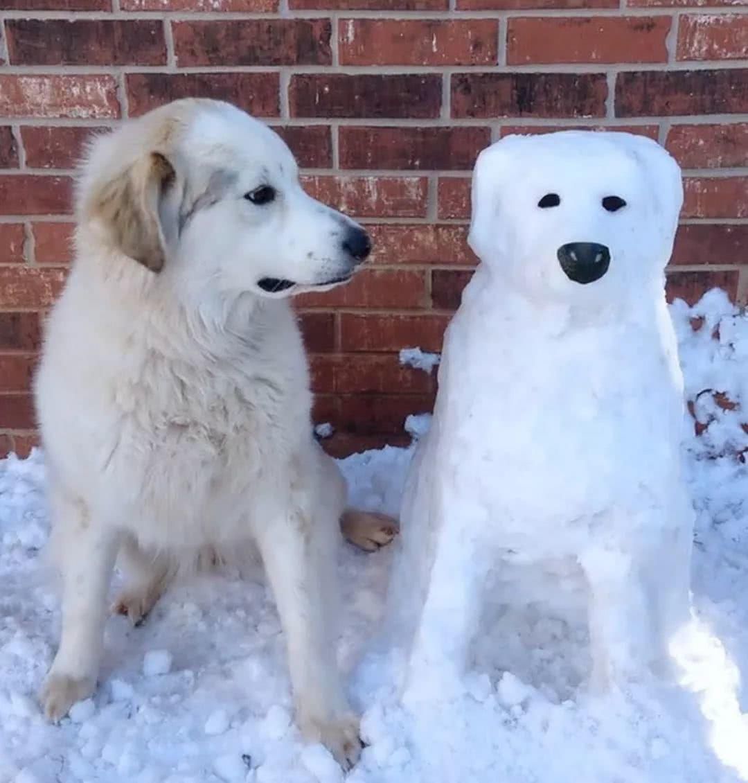 苏杭下雪美翻了之后，调皮可爱的雪人更是美翻翻了……