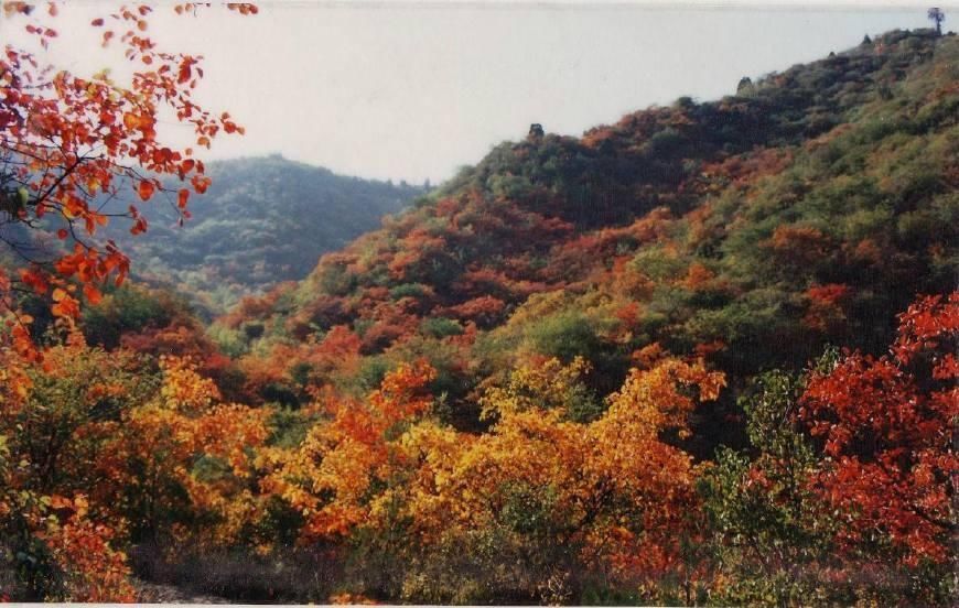 四川的这个地级市消费水平直逼成都重庆,却还