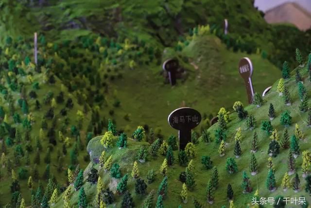 五一小长假，达州这个国家级地质博物馆将免费开放！