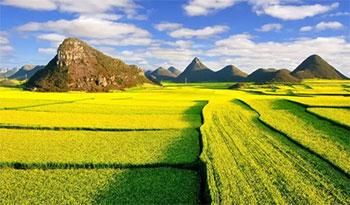 春天,这个世界在拼了命地绽放