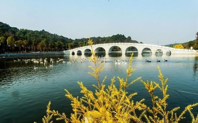 莲城风景美如画 踏青何必去远方